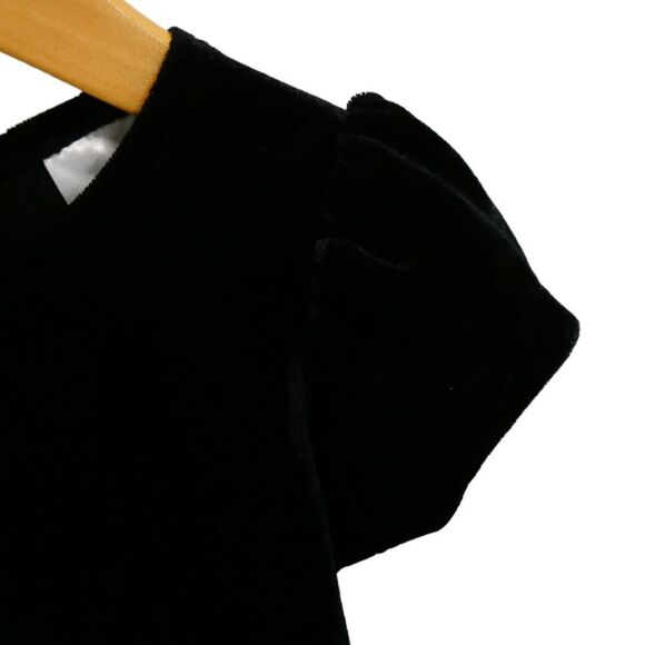 Blueberry boulevard Short Sleeve Black Velour Embroidered Dress Size 2T - Picture 6 of 7